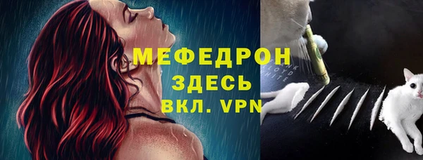 молекула духа Алексин