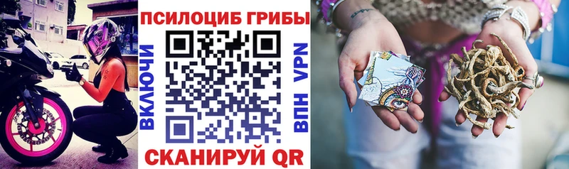 Галлюциногенные грибы GOLDEN TEACHER  где купить наркотик  Нарткала 